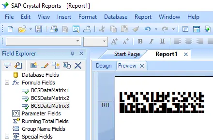 data matrix crystal reports data matrix crystal reports