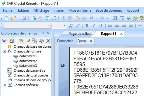 data matrix crystal reports champ formule