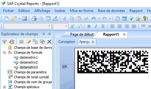 data matrix crystal reports