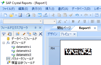 data matrix crystal reports