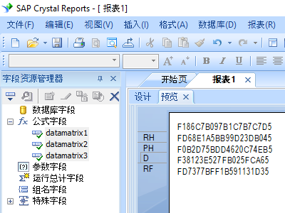 data matrix 水晶报表 公式 字段