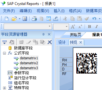 data matrix 水晶报表