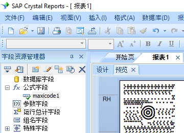 MaxiCode 水晶报表